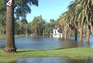 Río Uruguay creció solamente un centímetro en seis horas