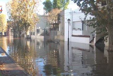 OSE dispuso exoneración para personas afectadas por la creciente. Río Uruguay en 8,35 frente a Paysandú